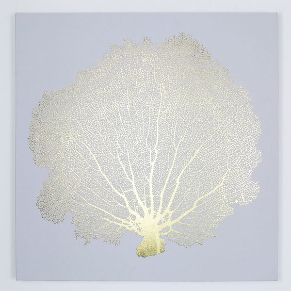 Sea Fan